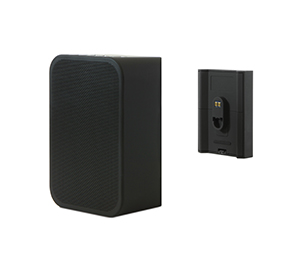 Bluesound BP100 Batteriepack