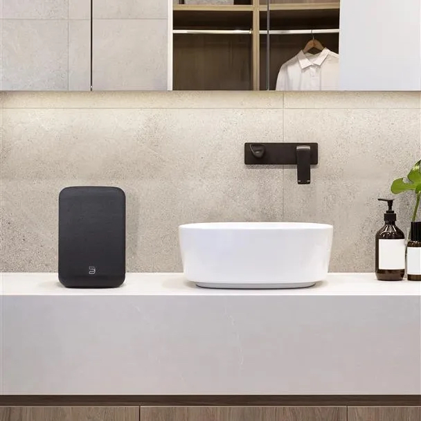 Bluesound Pulse Flex 2025 Streaming Lautsprecher