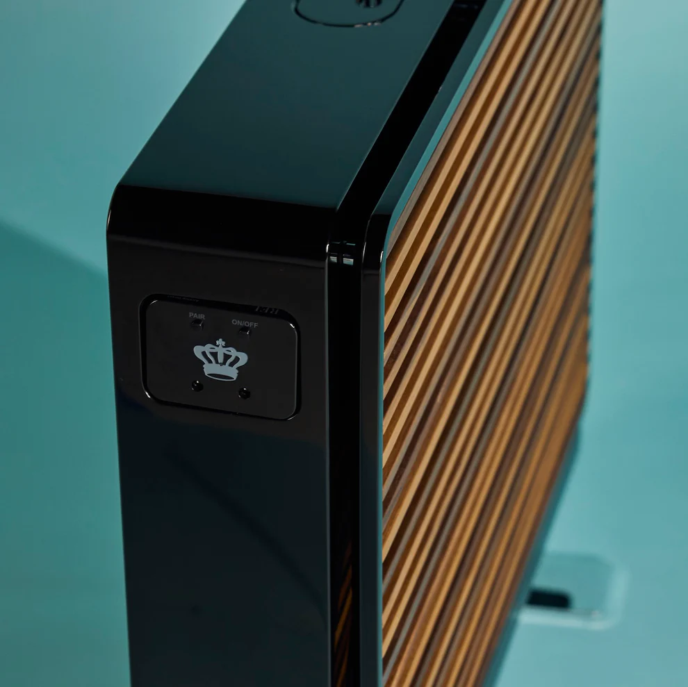 REL Planar PL-1 Subwoofer